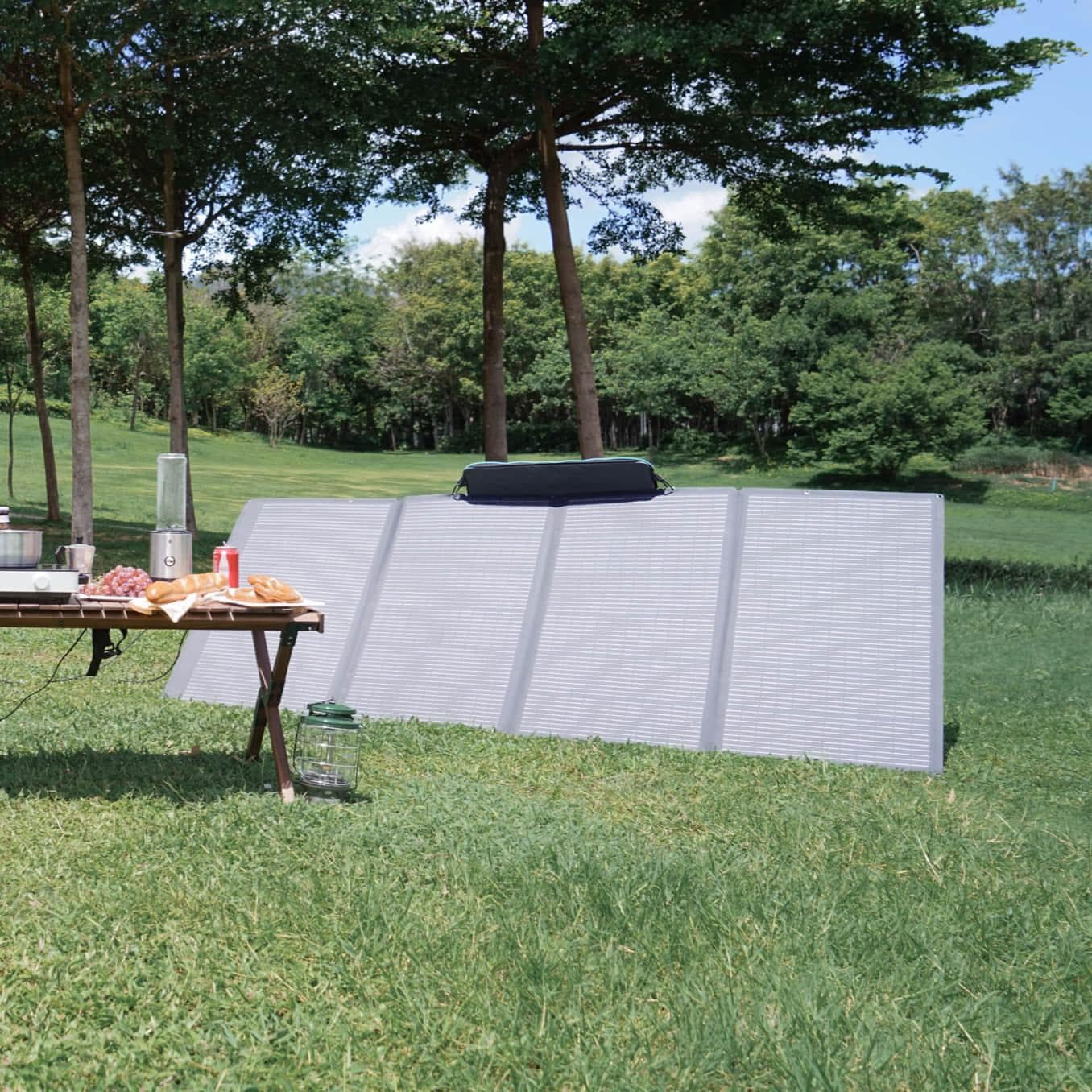 EcoFlow 400W Portable Solar Panel-APP Only