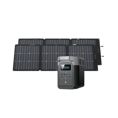 EcoFlow DELTA 2 + 160W Portable Solar Panel