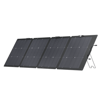 EcoFlow 2*220W Bifacial Solar Panel - App Only