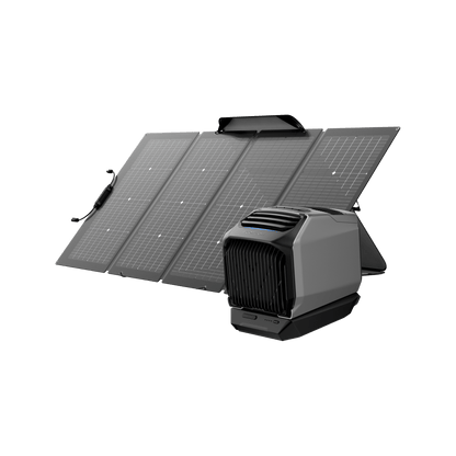 EcoFlow WAVE 2 + Add-on Battery + 220W Portable Solar Panel